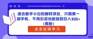 适合新手小白的搬砖项目,只需要一部手机、不用引流也能做到日入300+【揭秘】-葛仙仙资源库