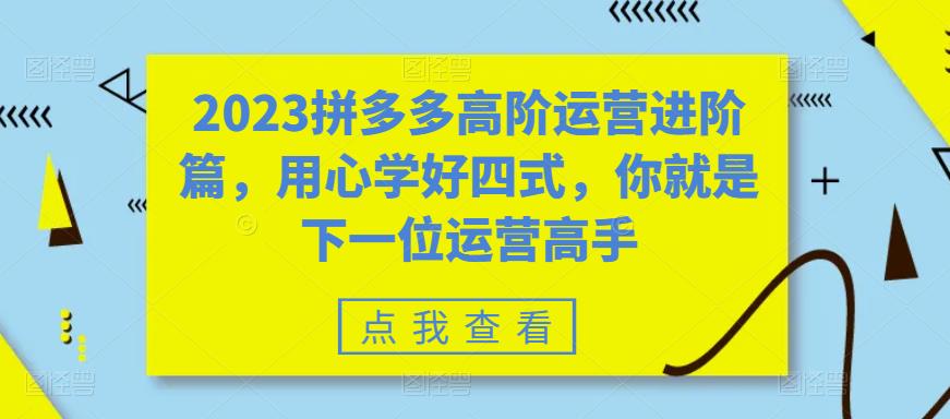 2023拼多多高阶运营进阶篇，用心学好四式，你就是下一位运营高手-葛仙仙资源库