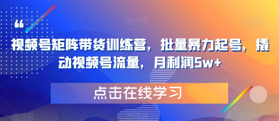 视频号矩阵带货训练营，批量暴力起号，撬动视频号流量，月利润5w+-葛仙仙资源库