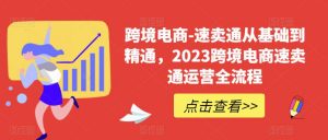 跨境电商-速卖通从基础到精通,2023跨境电商速卖通运营全流程-葛仙仙资源库