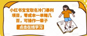 小红书宝宝取名冷门暴利项目,零成本一单赚几百,可操作一辈子-葛仙仙资源库