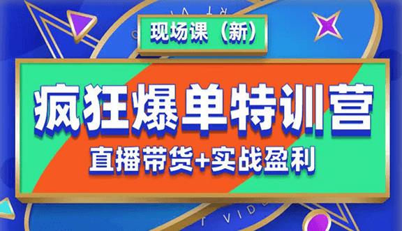 抖音短视频疯狂爆单特训营现场课（新）直播带货+实战案例-葛仙仙资源库