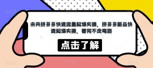 未央拼多多快速流量起爆实操,拼多多新品快速起爆实操,看完不走弯路-葛仙仙资源库