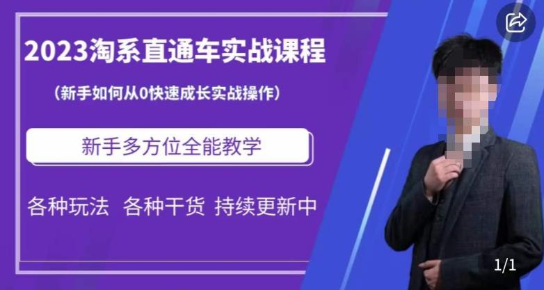 2023淘系直通车保姆式运营讲解，新手如何从0快速成长实战操作，新手多方位全能教学-葛仙仙资源库