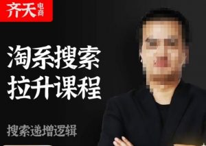 齐天电商·淘系搜索提升课程，​搜索递增标准化，动销标准化流程-葛仙仙资源库