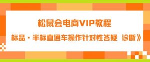松鼠会电商VIP教程:松鼠《付费推广标品·半标直通车操作针对性答疑&诊断》-葛仙仙资源库