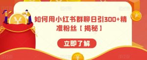 如何用小红书群聊日引300+精准粉丝【揭秘】-葛仙仙资源库