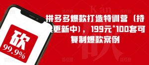 拼多多爆款打造特训营(持续更新中),199元*100套可复制爆款案例-葛仙仙资源库