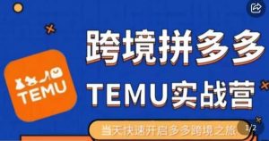 大鹏出海·拼多多跨境temu运营指导,开店注册+选品+核价上架,日出千单实战课-葛仙仙资源库