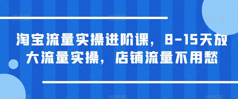 淘宝流量实操进阶课，8-15天放大流量实操，店铺流量不用愁-葛仙仙资源库