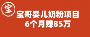 宝哥婴儿奶粉项目,6个月赚85w【图文非视频】【揭秘】-葛仙仙资源库