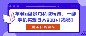 车载u盘暴力私域玩法,一部手机实现日入300+【揭秘】-葛仙仙资源库