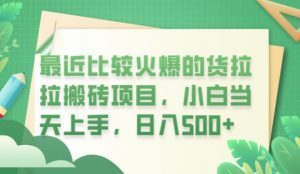最近比较火爆的货拉拉搬砖项目,小白当天上手,日入500+【揭秘】-葛仙仙资源库