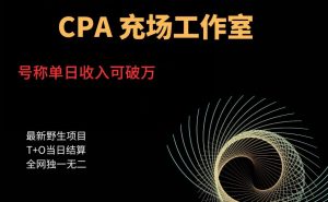cpa充场工作室,号称单日收入10000+(揭秘)-葛仙仙资源库