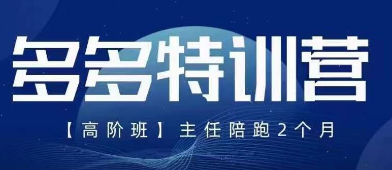 纪主任·5月最新多多特训营高阶班，玩法落地实操，多多全掌握-葛仙仙资源库