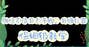 微信互推圈半自动引流方案,矩阵操作日引千人思路【详细视频教程】-葛仙仙资源库