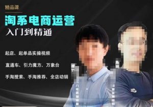 2023手淘搜索实操课+体系化课程,起店起单品实操视频课程-葛仙仙资源库