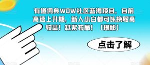 有道词典WOW社区蓝海项目,目前高速上升期,新人小白都可以换取高收益!赶紧布局!【揭秘】-葛仙仙资源库