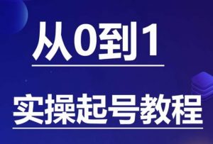 石野·小白起号实操教程,掌握各种起号的玩法技术,了解流量的核心-葛仙仙资源库