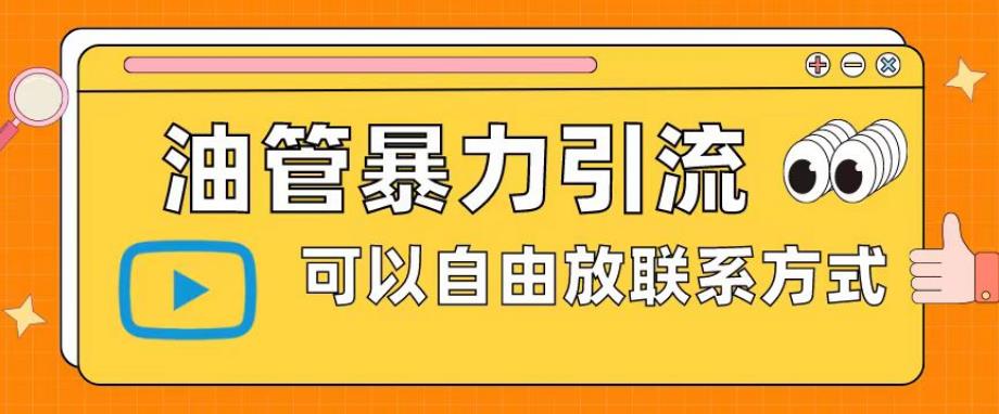 油管暴力引流，可以自由放联系方式【揭秘】-葛仙仙资源库