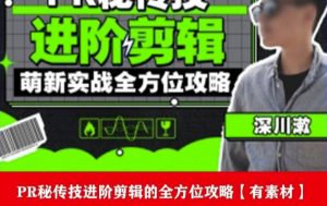PR进阶剪辑培训班,让你快速成为剪辑大师12节视频课程+素材!-葛仙仙资源库