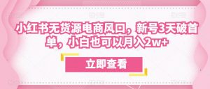 众狼电商余文小红书无货源电商风口,新号3天破首单,小白也可以月入2w+-葛仙仙资源库