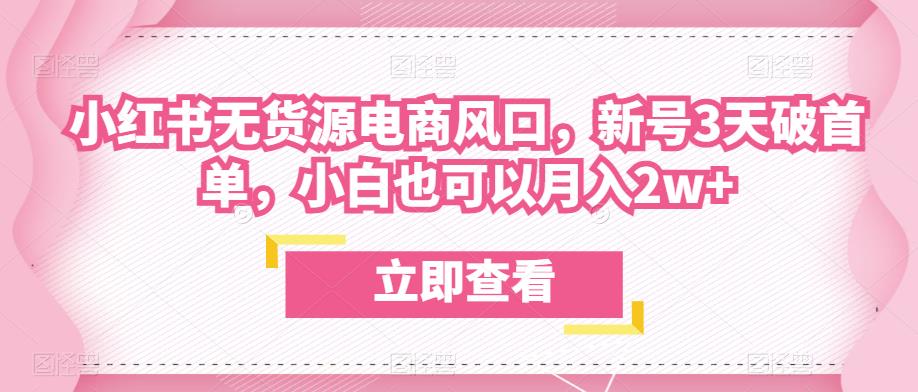 众狼电商余文小红书无货源电商风口，新号3天破首单，小白也可以月入2w+-葛仙仙资源库