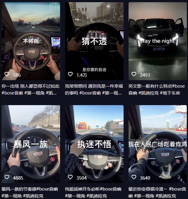 抖音开车视频项目，0基础操作，每天五分钟，月入1W+【揭秘】-葛仙仙资源库