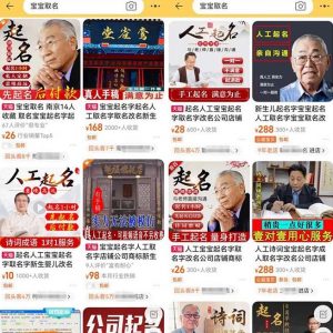 拆解小红书宝宝起名虚拟副业项目,一条龙实操玩法分享给你(教程+软件)-葛仙仙资源库