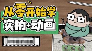 从零开始学实拍加动画,实拍加动画创意教程-葛仙仙资源库