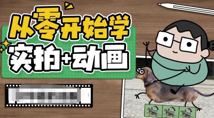 从零开始学实拍加动画，实拍加动画创意教程-葛仙仙资源库