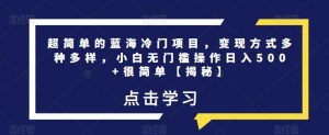 超简单的蓝海冷门项目,变现方式多种多样,小白无门槛操作日入500+很简单【揭秘】-葛仙仙资源库