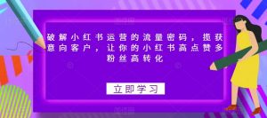 破解小红书运营的流量密码,揽获意向客户,让你的小红书高点赞多粉丝高转化-葛仙仙资源库