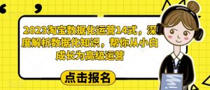 2023淘宝数据化运营14式,深度解析数据化知识,帮你从小白成长为高级运营-葛仙仙资源库
