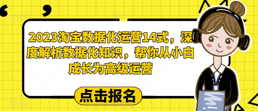 2023淘宝数据化运营14式，深度解析数据化知识，帮你从小白成长为高级运营-葛仙仙资源库