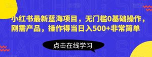 小红书最新蓝海项目,无门槛0基础操作,刚需产品,操作得当日入500+非常简单【揭秘】-葛仙仙资源库