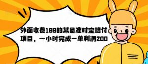 外面收费188的美团准时宝赔付项目,一小时完成一单利润200【仅揭秘】-葛仙仙资源库