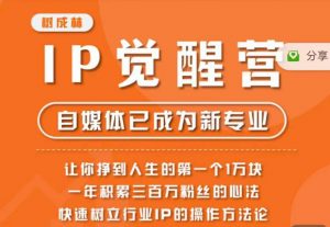 树成林·IP觉醒营,快速树立行业IP的操作方法论,让你赚到人生的第一个1万块-葛仙仙资源库