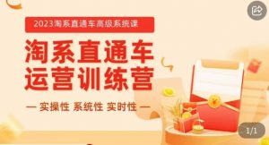 冠东·2023淘系直通车高级系统课,实操性,系统性,实时性,直通车完整体系教学-葛仙仙资源库