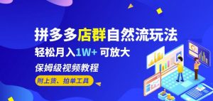 拼多多店群自然流玩法,轻松月入1W+保姆级视频教程(附上货、拍单工具)-葛仙仙资源库