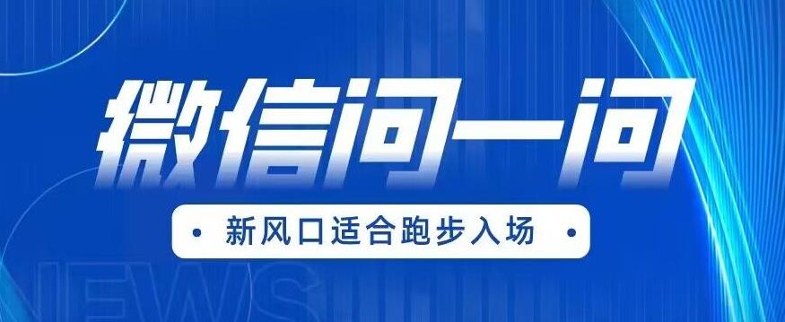 全网首发微信问一问新风口变现项目（价值1999元）【揭秘】-葛仙仙资源库