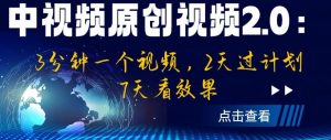 中视频原创视频2.0：3分钟一个视频，2天过计划，7天看效果【揭秘】-葛仙仙资源库