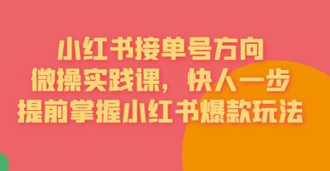 接单号方向·小红书微操实践课，快人一步，提前掌握小红书爆款玩法-葛仙仙资源库