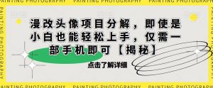 漫改头像项目分解，即使是小白也能轻松上手，仅需一部手机即可【揭秘】-葛仙仙资源库