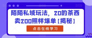 陌陌私域玩法,20的茶西卖200照样爆单【揭秘】-葛仙仙资源库
