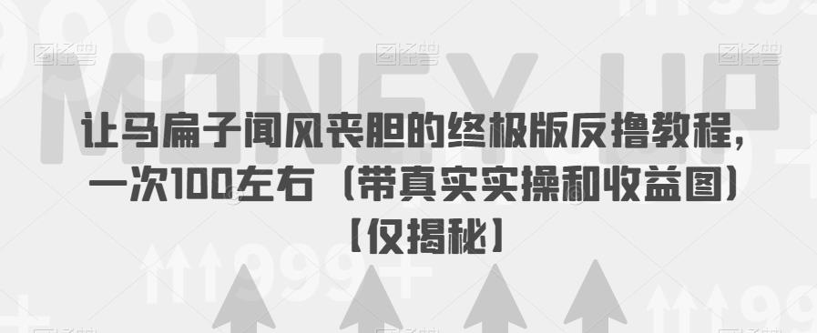 让马扁子闻风丧胆的终极版反撸教程，一次100左右（带真实实操和收益图）【仅揭秘】-葛仙仙资源库