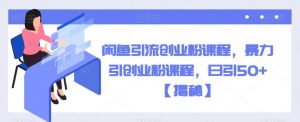 闲鱼引流创业粉课程,暴力引创业粉课程,日引50+【揭秘】-葛仙仙资源库