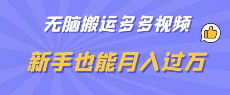 无脑搬运多多视频，新手也能月入过万【揭秘】-葛仙仙资源库