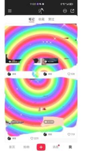 冷门高利润项目,小红书带货,无脑搬运,一部手机实现日入500+【揭秘】-葛仙仙资源库