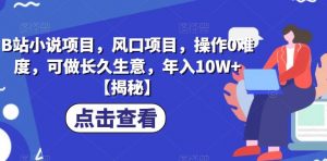 B站小说项目,风口项目,操作0难度,可做长久生意,年入10W+【揭秘】-葛仙仙资源库